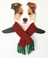 Red & Green Holiday Scarf